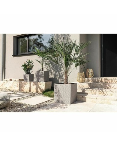 Vaso Lechuza 50 x 50 cm Vaso Lechuza 50 x 50 cm