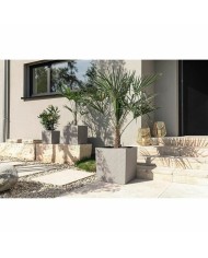 Vaso Lechuza 50 x 50 cm