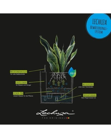 Vaso Lechuza 50 x 50 cm Vaso Lechuza 50 x 50 cm