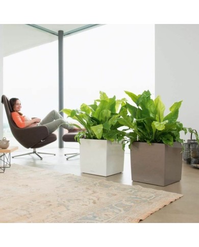 Vaso Lechuza 40 x 40 x 40 cm Nero Rosso polipropilene Plastica Vaso Lechuza 40 x 40 x 40 cm Nero Rosso polipropilene Plastica