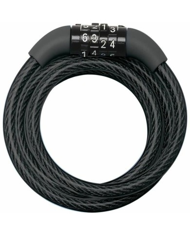 Catena con lucchetto Master Lock Catena con lucchetto Master Lock