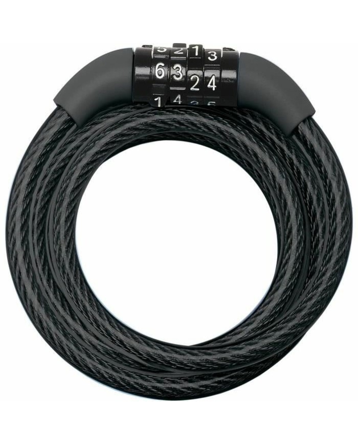 Catena con lucchetto Master Lock