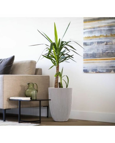 Vaso Capi Europe Beige Plastica Rotondo 34 x 34 x 46 cm Vaso Capi Europe Beige Plastica Rotondo 34 x 34 x 46 cm