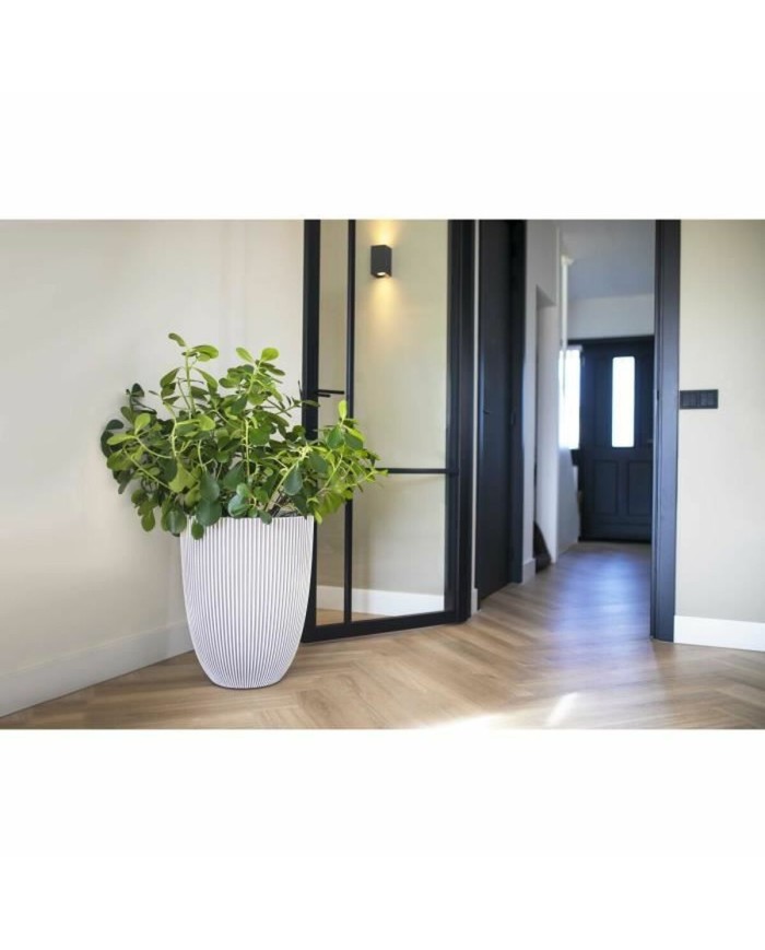 Vaso Capi Europe Beige Plastica Rotondo 34 x 34 x 46 cm Vaso Capi Europe Beige Plastica Rotondo 34 x 34 x 46 cm