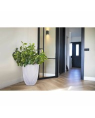 Vaso Capi Europe Beige Plastica Rotondo 34 x 34 x 46 cm Vaso Capi Europe Beige Plastica Rotondo 34 x 34 x 46 cm