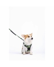 Imbracatura per Cani MPETS HIKING Verde M