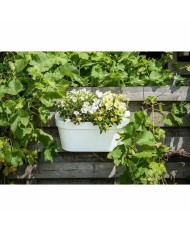 Vaso Autoirrigante Garden ID Bianco Vaso Autoirrigante Garden ID Bianco
