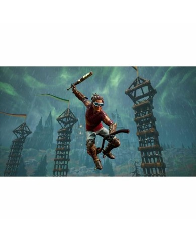 Videogioco per Switch Warner Games Harry Potter : Champions de Quidditch