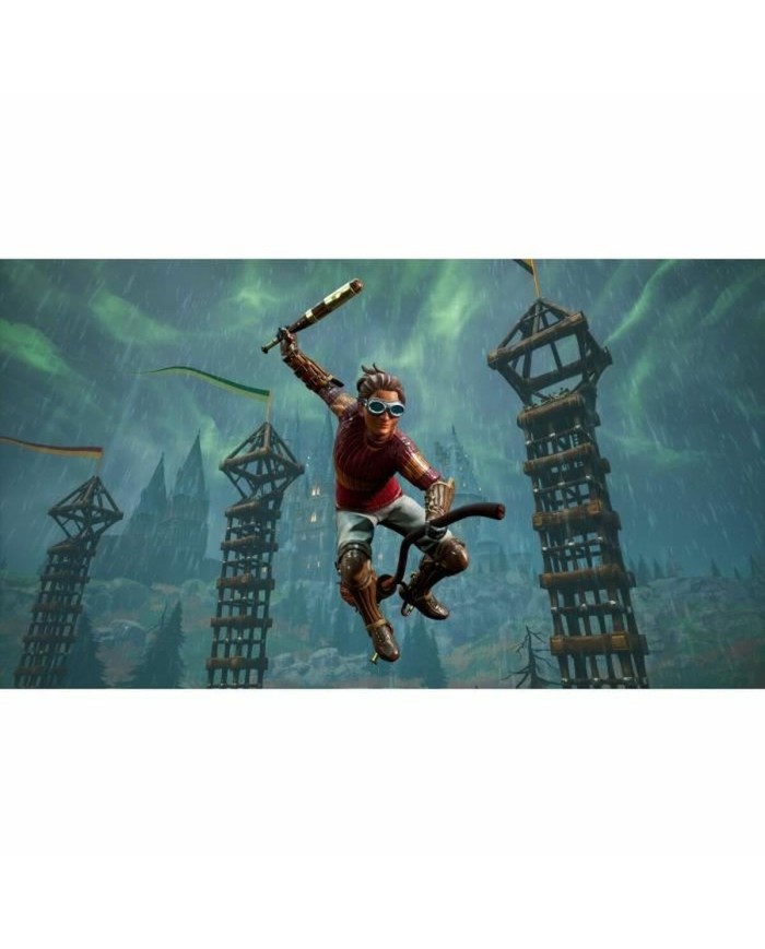 Videogioco per Switch Warner Games Harry Potter : Champions de Quidditch