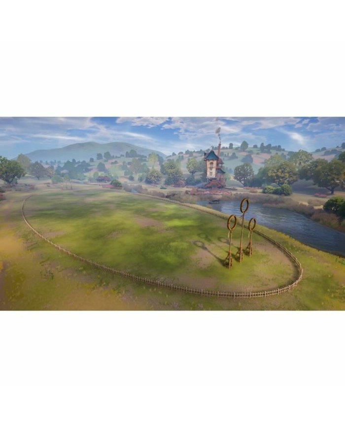 Videogioco per Switch Warner Games Harry Potter : Champions de Quidditch