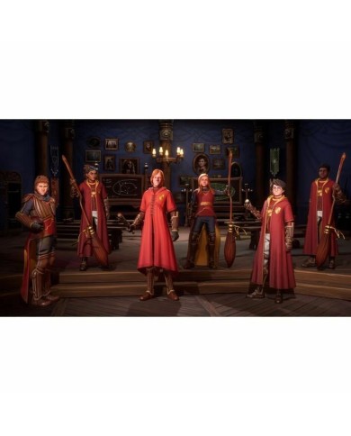 Videogioco per Switch Warner Games Harry Potter : Champions de Quidditch