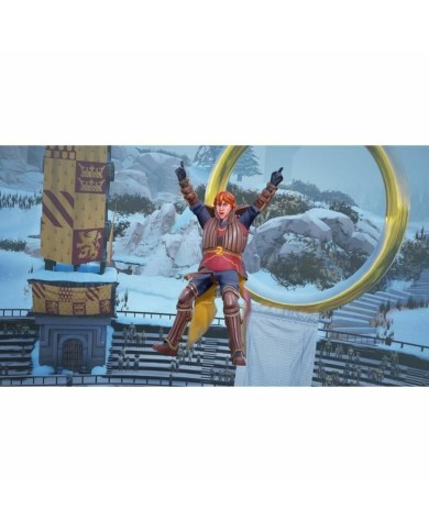 Videogioco per Switch Warner Games Harry Potter : Champions de Quidditch