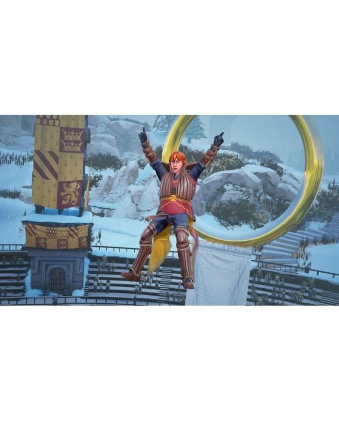 Videogioco per Switch Warner Games Harry Potter : Champions de Quidditch
