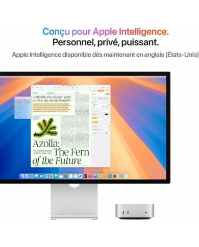 Mini PC Apple Mac Mini 16 GB RAM 256 GB SSD M4