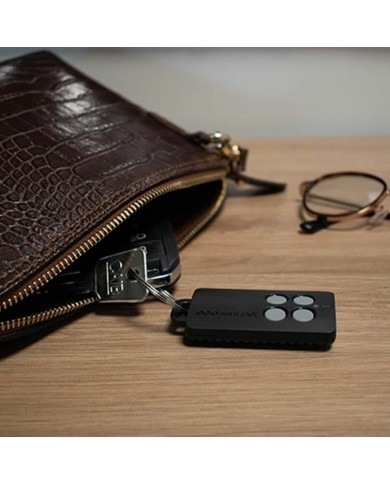 Controllo del garage SCS SENTINEL AAM0121 Controllo del garage SCS SENTINEL AAM0121