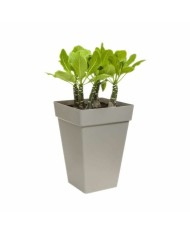 Vaso Elho Antracite polipropilene Plastica Quadrato Moderno 37 cm Vaso Elho Antracite polipropilene Plastica Quadrato Moderno 37 cm