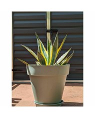 Vaso Riviera Verde Ø 50 cm