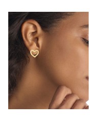 Orecchini Donna Calvin Klein 35000391 Argento puro 925 Dorato