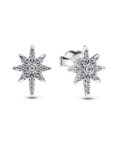 Orecchini Donna Pandora 293587C01 Argentato