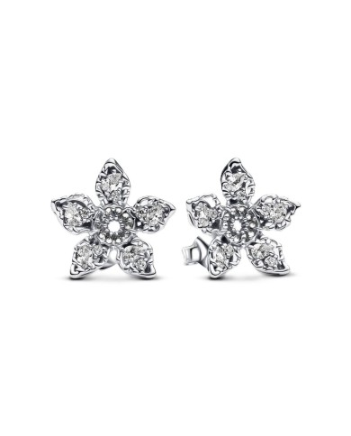 Orecchini Donna Pandora 293573C01 Argento puro 925 Argentato