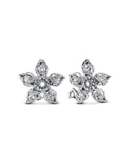 Orecchini Donna Pandora 293573C01 Argento puro 925 Argentato Orecchini Donna Pandora 293573C01 Argento puro 925 Argentato