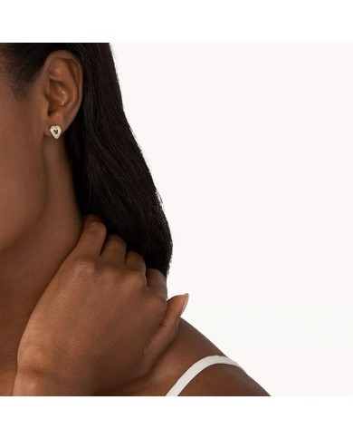 Orecchini Donna Skagen SKJ1677998