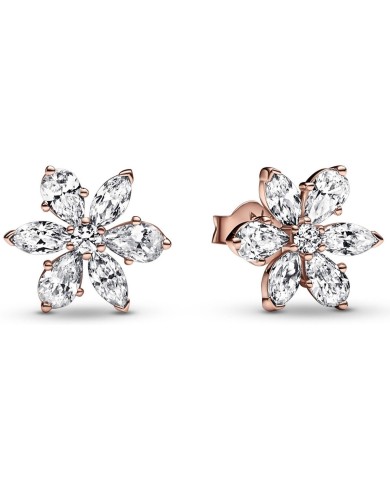 Orecchini Donna Pandora 282407C01 Argento puro 925