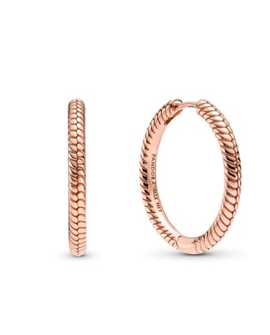 Orecchini Donna Pandora 289532C00 Argento puro 925