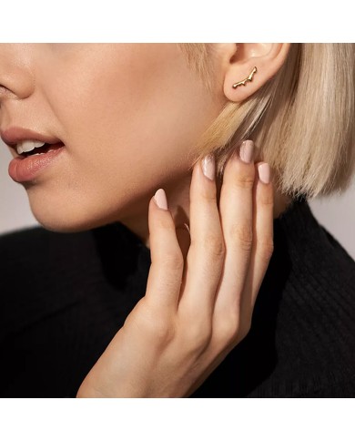 Orecchini Donna Skagen SKJ1773710