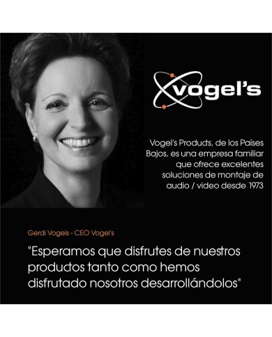 Supporto TV Vogel's BASE15M