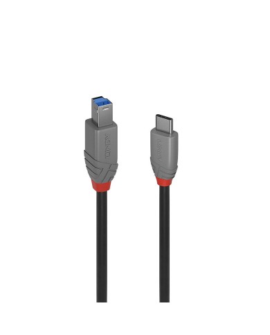 Cavo USB-C con USB B LINDY 36666 1 m Cavo USB-C con USB B LINDY 36666 1 m