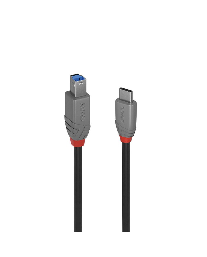 Cavo USB-C con USB B LINDY 36666 1 m
