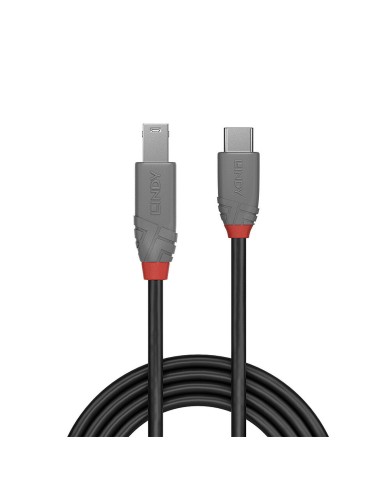 Cavo USB-C con USB B LINDY 36666 1 m Cavo USB-C con USB B LINDY 36666 1 m