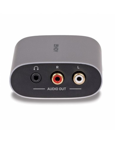 Convertitore/Adattatore LINDY Downmix 38362 Convertitore/Adattatore LINDY Downmix 38362