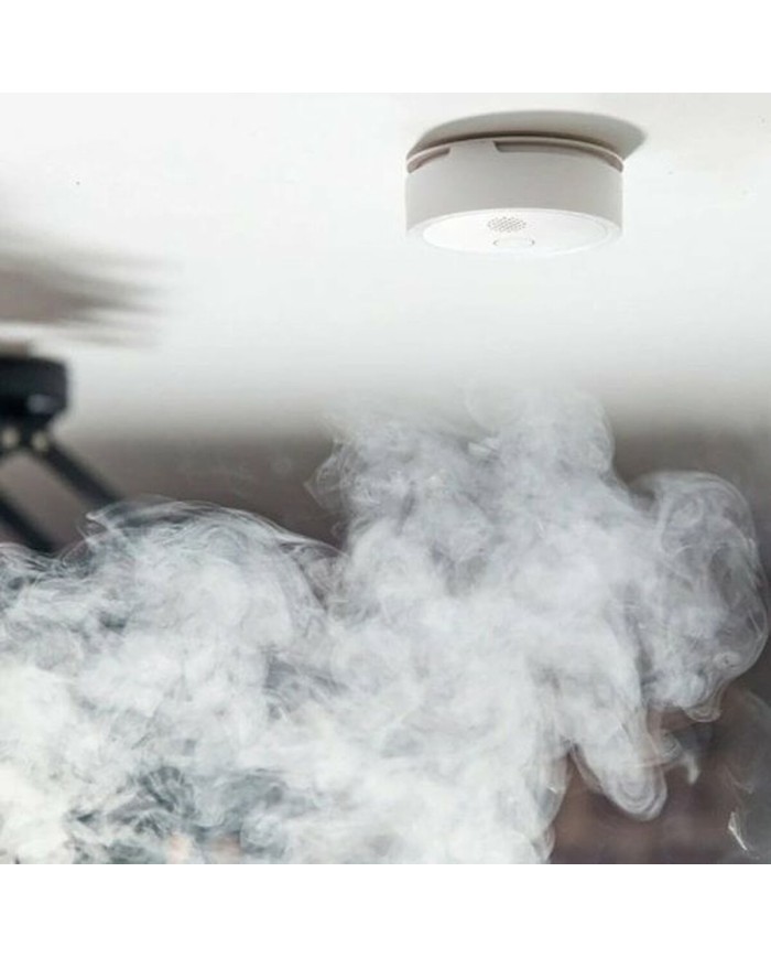 Videocamera di Sorveglianza Shelly Videocamera di Sorveglianza Shelly