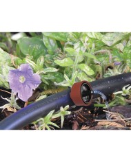 Gocciolatore autocompensante Aqua Control 906425 4 l/h Autopulizia Gocciolatore autocompensante Aqua Control 906425 4 l/h Autopulizia