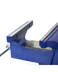 Vite da banco con base di aspirazione Workpro 150 mm