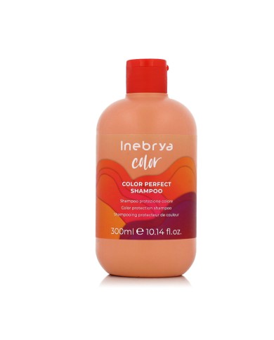 Shampoo Inebrya Ice Cream Pro-Color 300 ml Shampoo Inebrya Ice Cream Pro-Color 300 ml