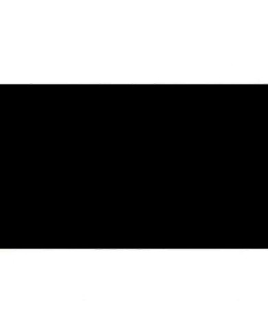 Gomma Eva Fama EB57 Nero 2 mm 2,0 mm 50 x 70 cm 10 Unità Gomma Eva Fama EB57 Nero 2 mm 2,0 mm 50 x 70 cm 10 Unità