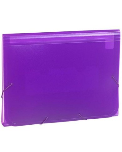 Classificatore Documenti Carchivo 1913KF56 Violetta Din A4
