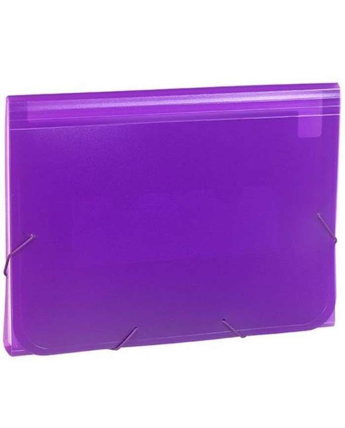 Classificatore Documenti Carchivo 1913KF56 Violetta Din A4