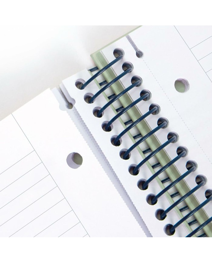 Agenda Milan 430 Beige A4 80 Pagine (3 Unità)