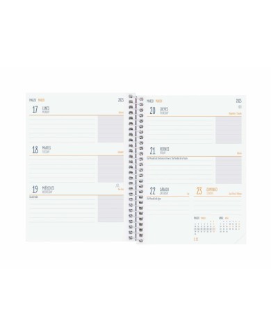 Agenda Finocam COOL Lilla 1/8 12 x 16,4 cm 2024-2025 Agenda Finocam COOL Lilla 1/8 12 x 16,4 cm 2024-2025