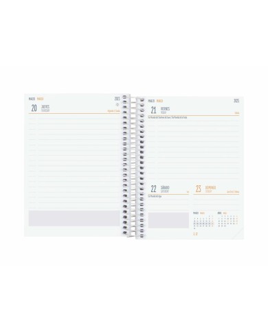 Agenda Finocam COOL Nero 1/8 12 x 16,4 cm 2024-2025 Agenda Finocam COOL Nero 1/8 12 x 16,4 cm 2024-2025