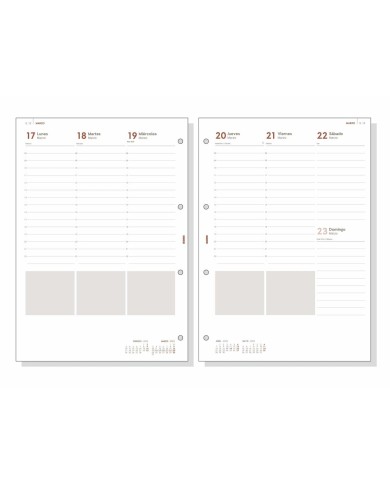 Ricarica dell'Agenda Finocam R4099 4000 A4 2025 21 x 29,7 cm