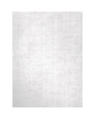 Carta per Stampare POL International Paper Speed Bianco A4 500 Fogli Carta per Stampare POL International Paper Speed Bianco A4 500 Fogli