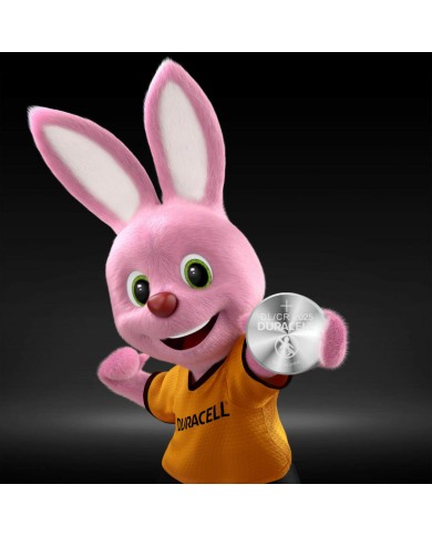 Batterie DURACELL 3V (10 Unità) Batterie DURACELL 3V (10 Unità)