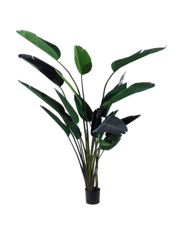 Pianta Decorativa Polietilene Ferro Cemento Uccello del Paradiso 245 cm 120 x 120 x 245 cm