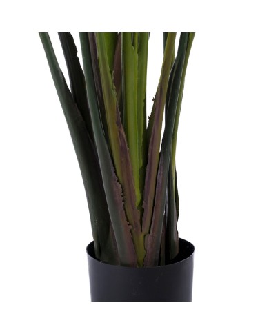 Pianta Decorativa Polietilene Ferro Cemento Uccello del Paradiso 245 cm 120 x 120 x 245 cm