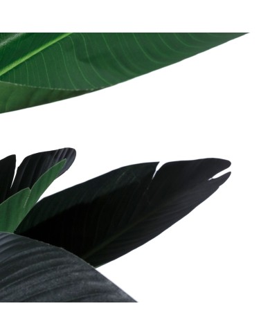 Pianta Decorativa Polietilene Ferro Cemento Uccello del Paradiso 245 cm 120 x 120 x 245 cm
